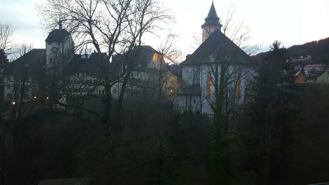Waldshut Suite In Zentrum Exteriér fotografie